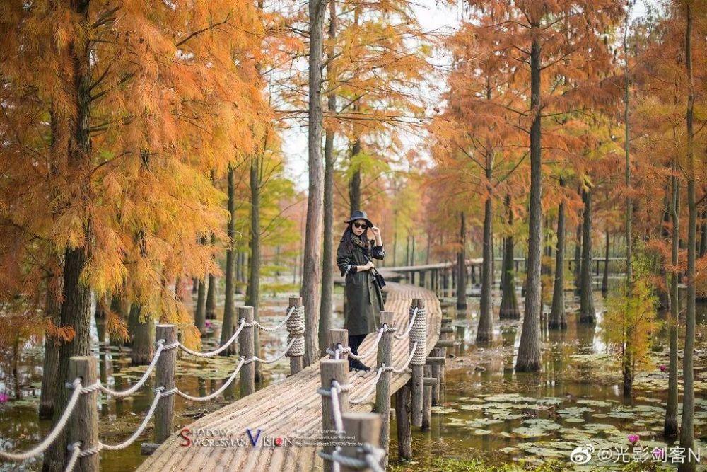 逃离荒凉之地